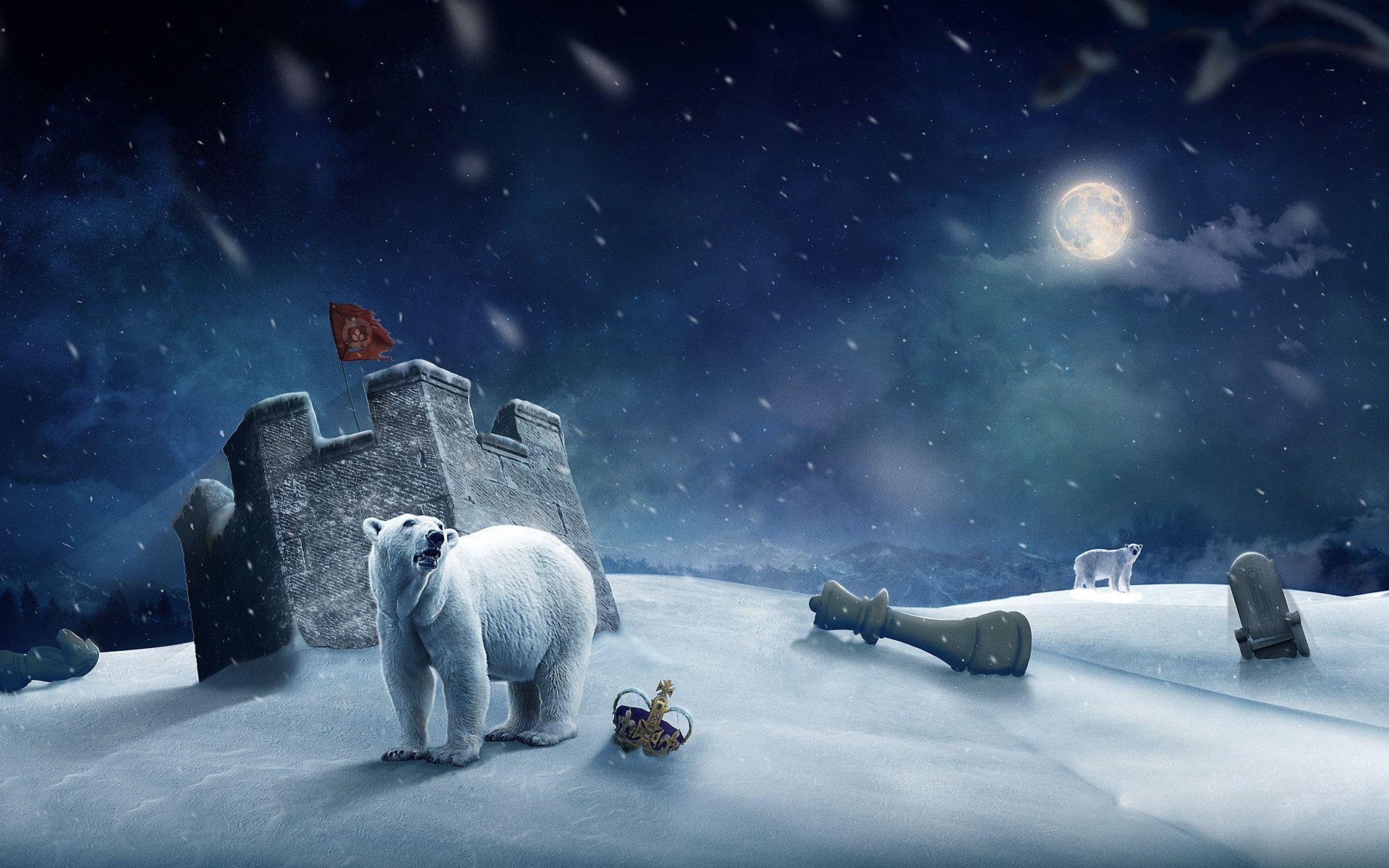 Orso polare luna piena, 6000x4000 4K, Smart TV 4K