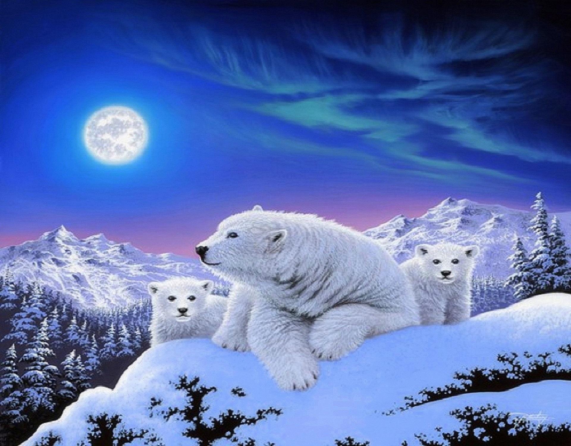 Orso Polare Coca-Cola, 1920x1080 1080p, Desktop