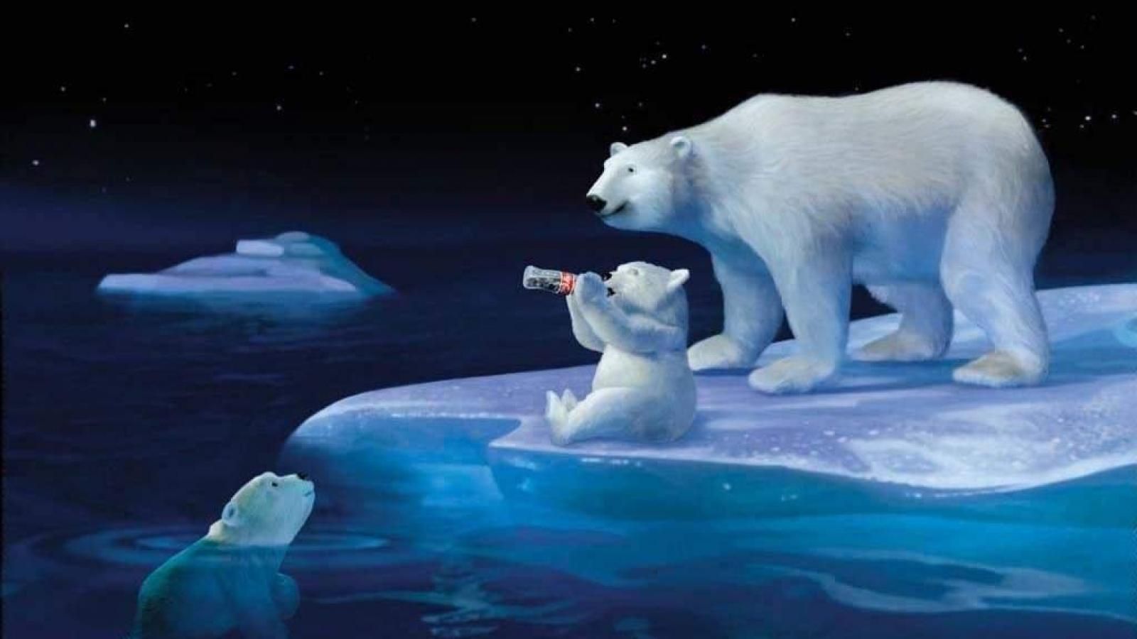 Cuccioli di orso polare, 1920x1200 Full HD+, PC Desktop