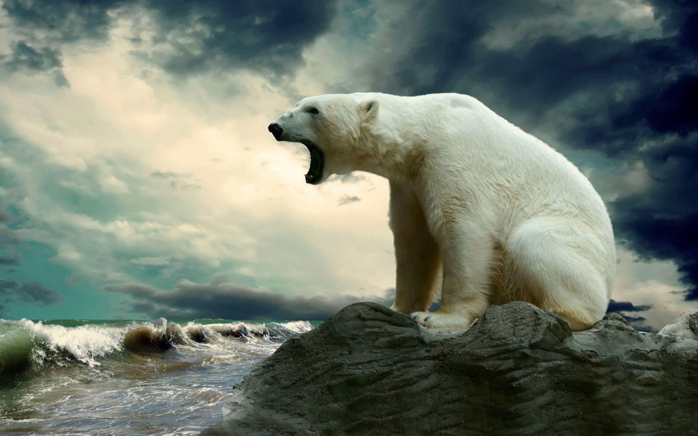 con l'Orso Polare della Coca-Cola, 1920x1200 Full HD+ WUXGA, Desktop