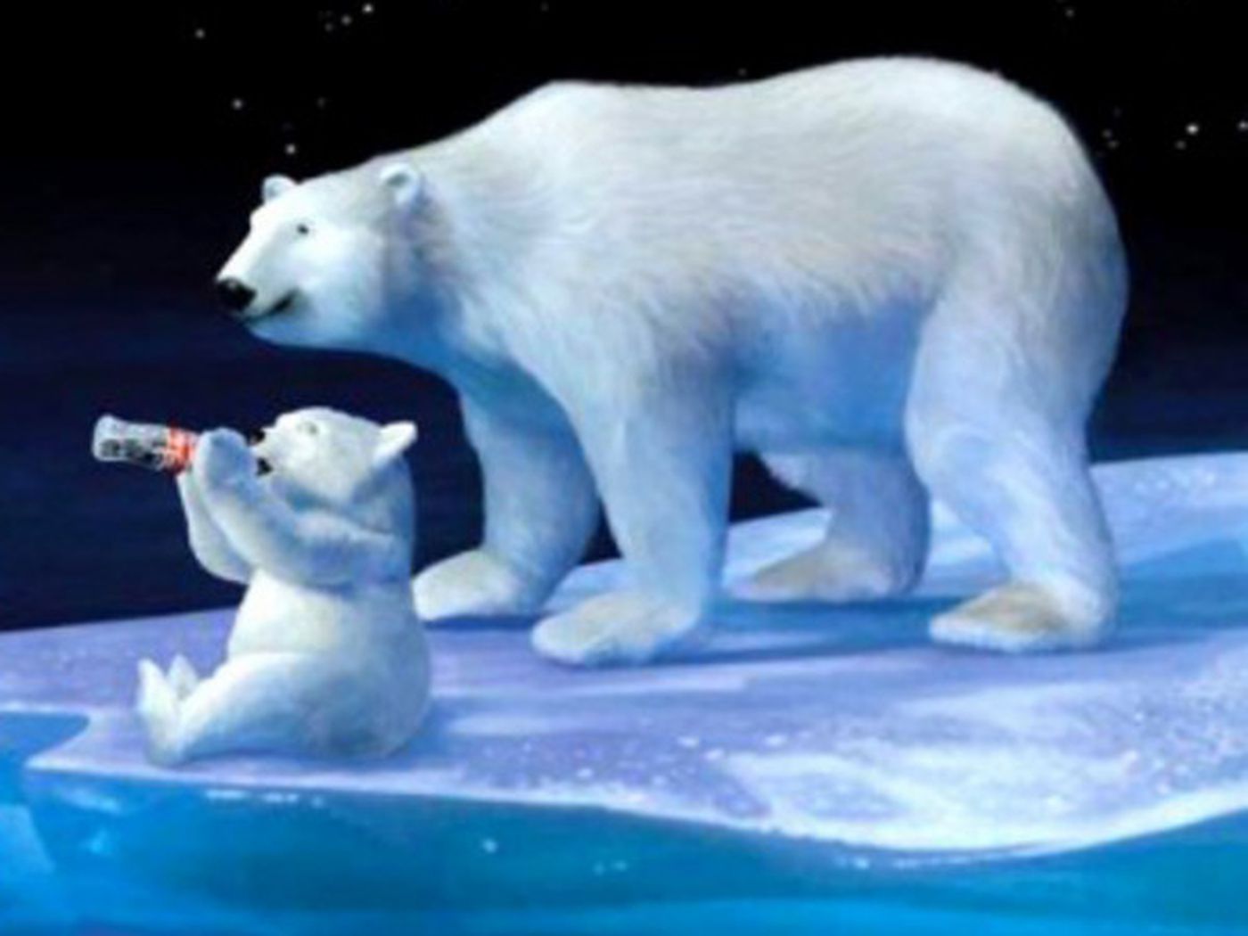 Orso polare sdraiato roccia, 1920x1080 Full HD 1080p, Laptop