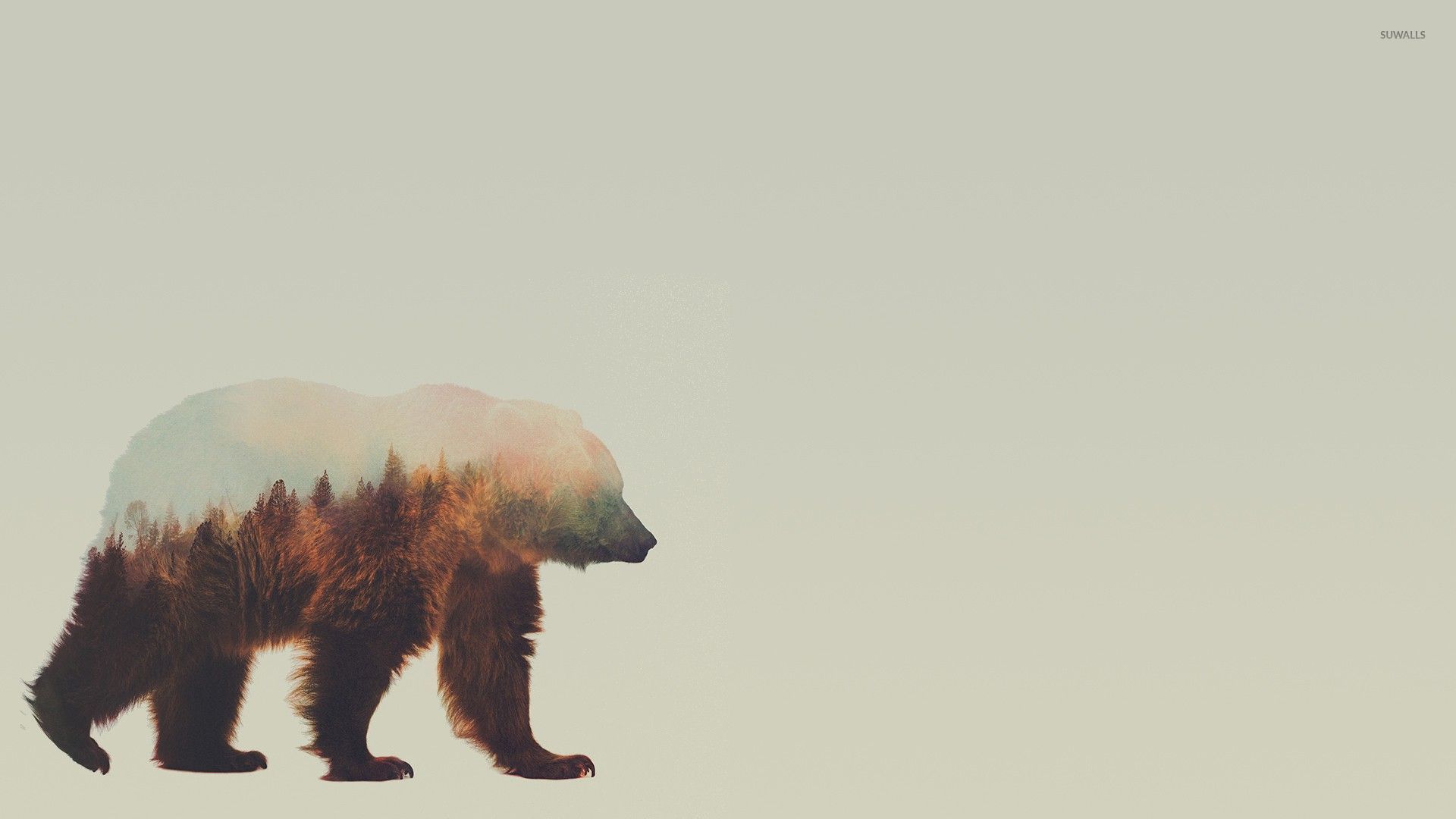 Orso con doppia esposizione foresta, 1920x1080 1080p, PC Desktop