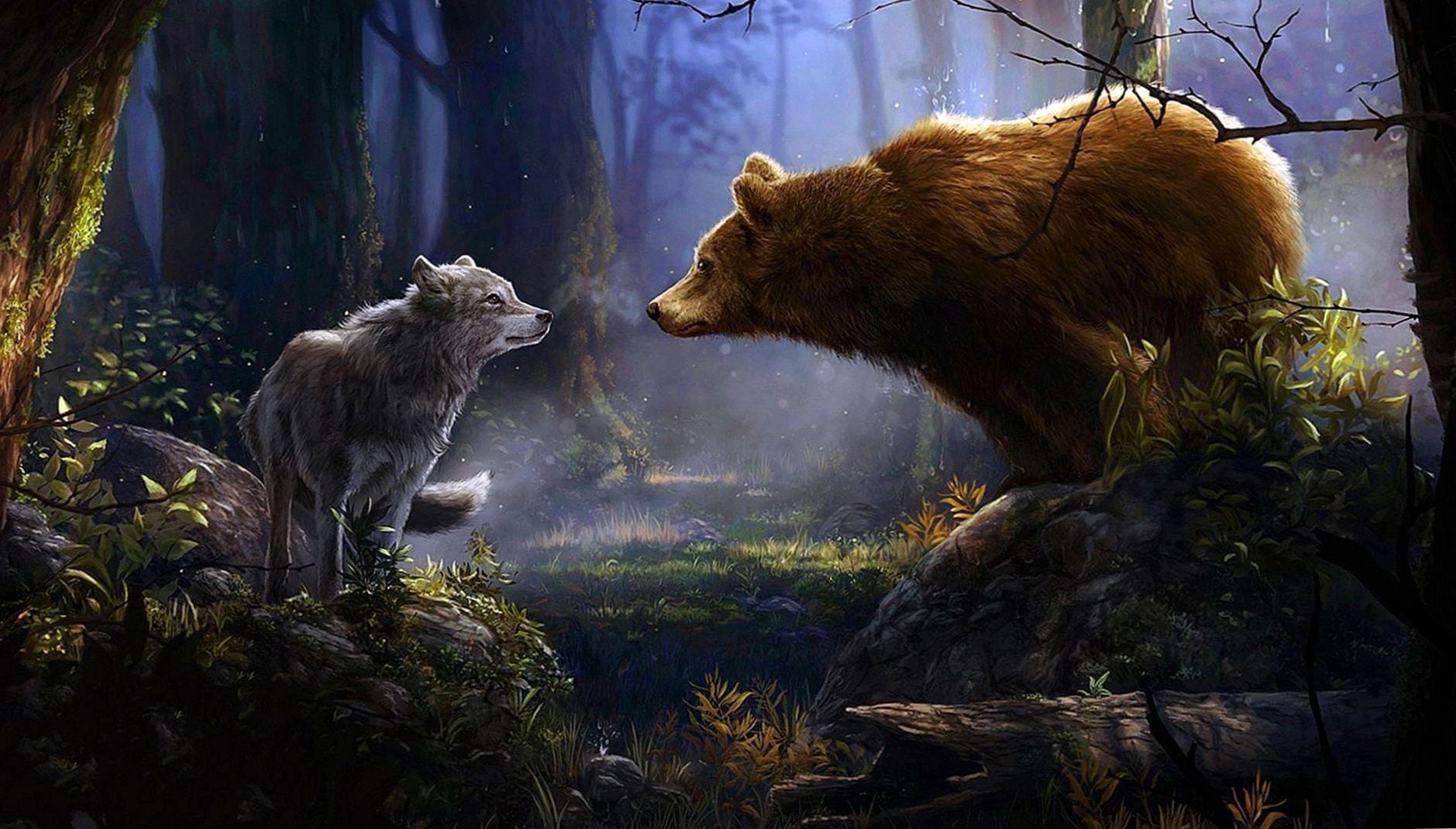 Orso e lupo nella foresta, 1879x1070 900p, Desktop