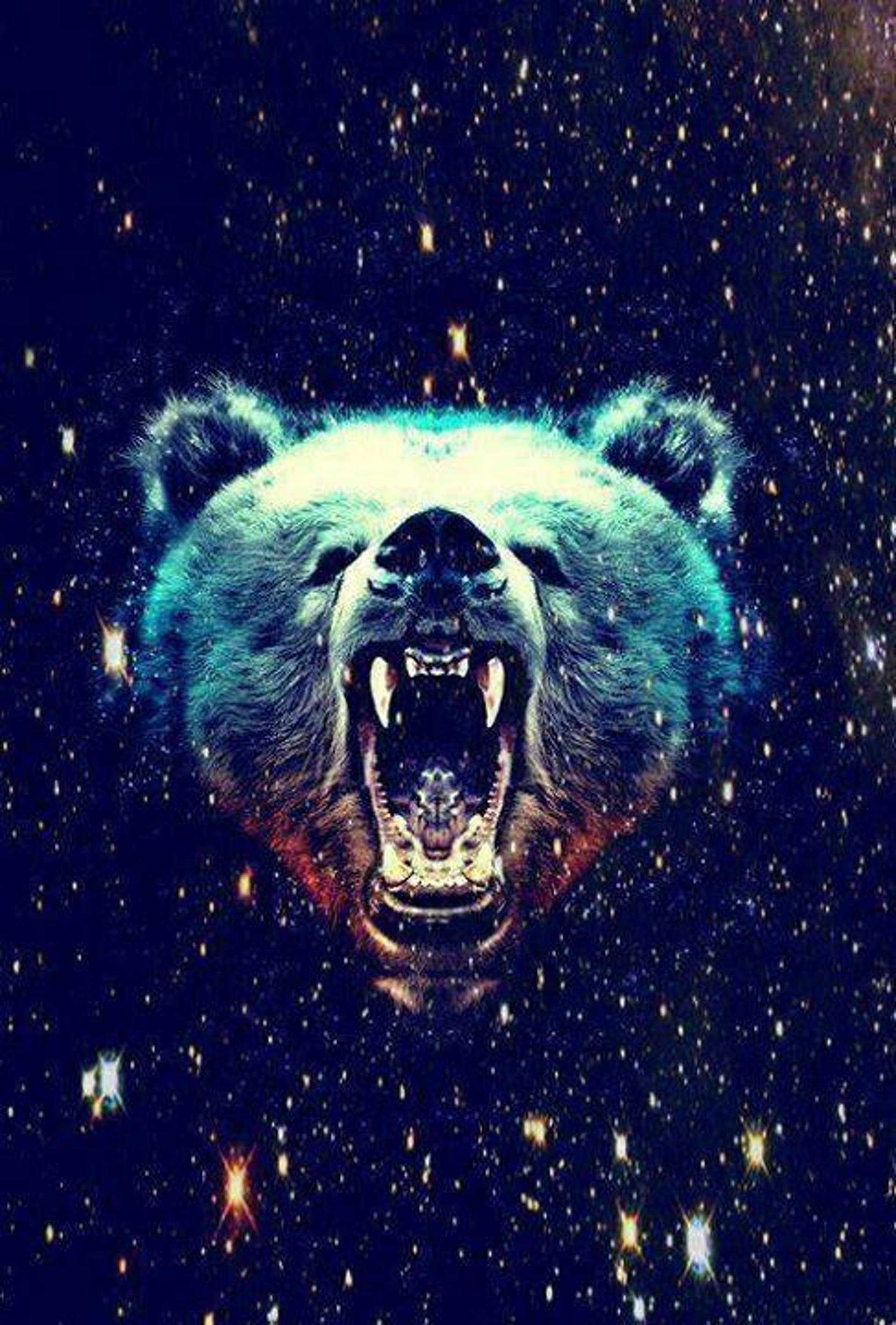 Orso ruggente nello spazio, 1920x2838 Full HD Verticale, Smartphone