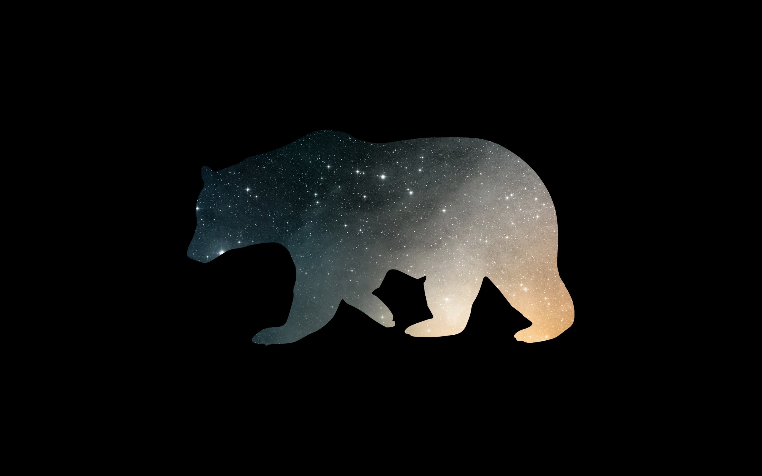Orso silhouette con stelle, 2560x1600 WQXGA, Laptop