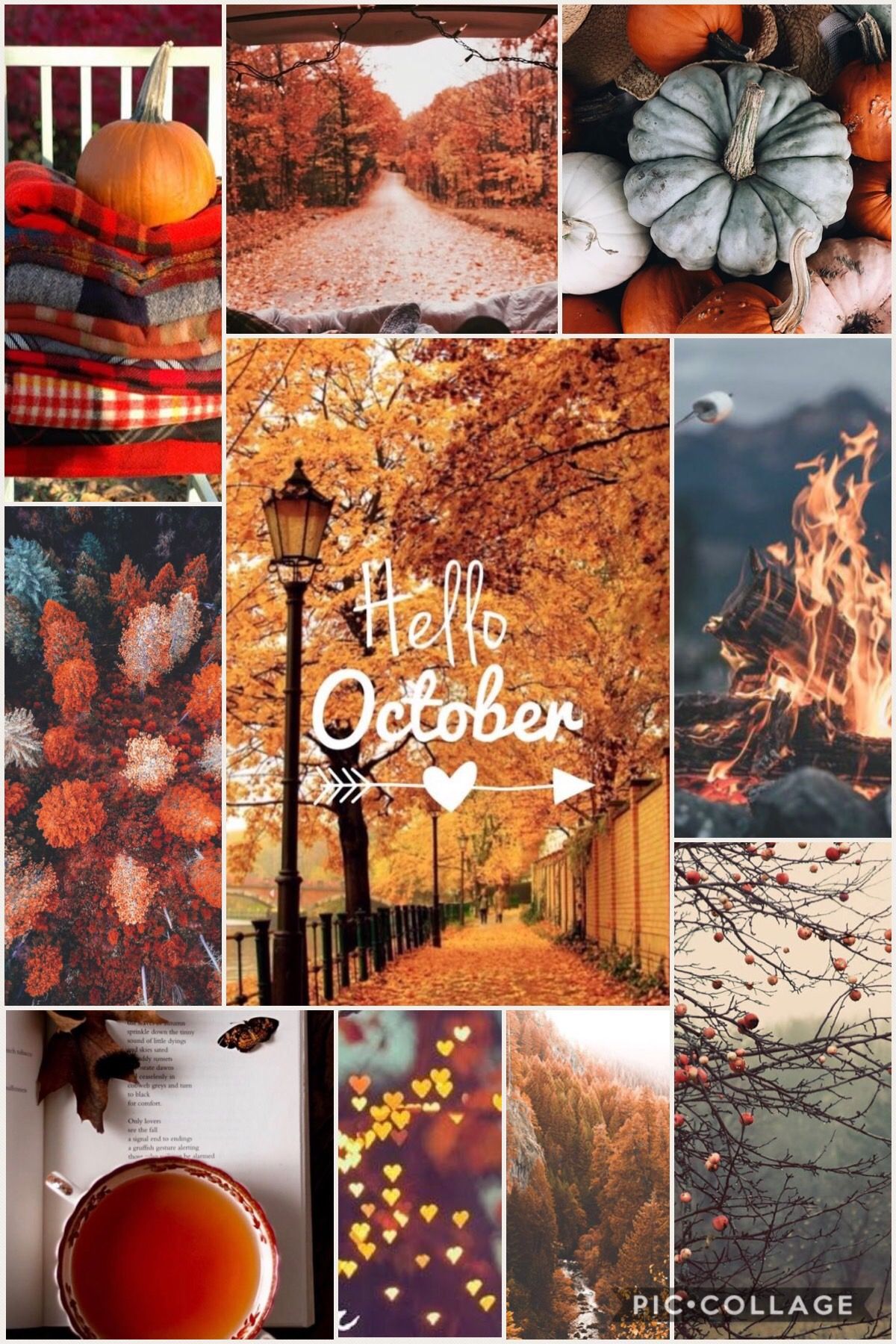 Collage autunnale zucche foglie, 1200x1800 Verticale, Mobile