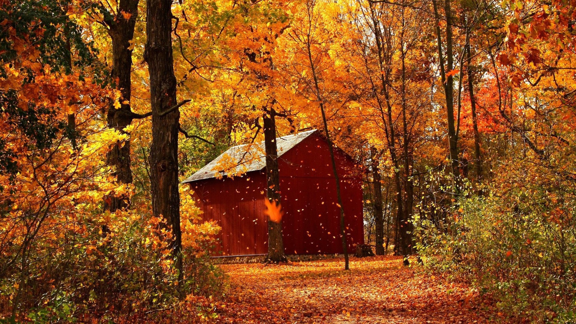 Capanno rosso bosco autunnale, 1920x1080 1080p, Desktop