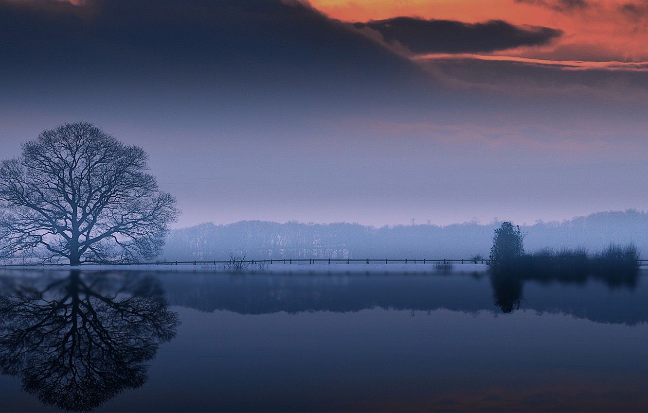 Albero riflesso in lago al tramonto, 1332x850 HD, Desktop