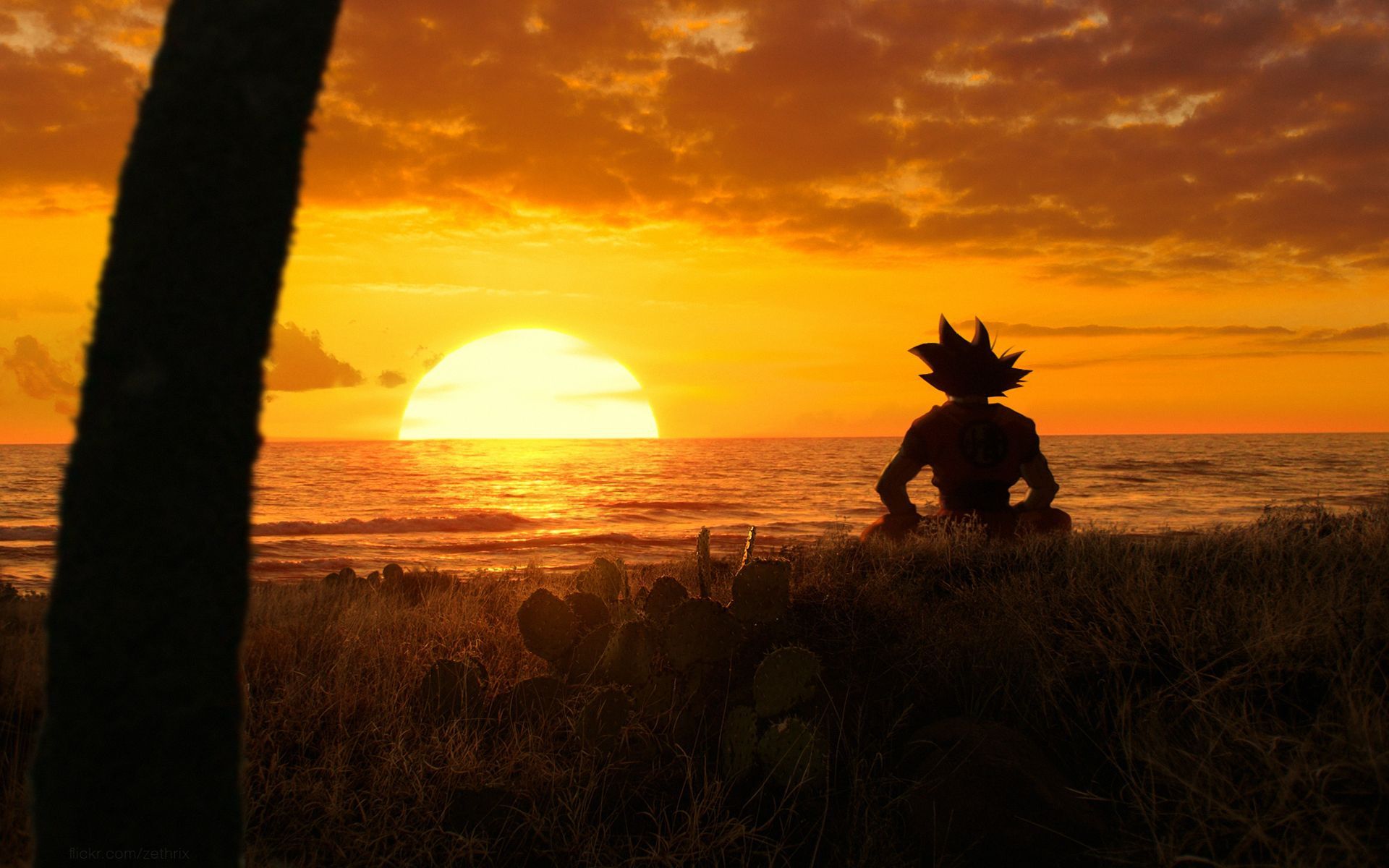 Goku silhouette al tramonto, Dragon Ball, 1920x1200 Full HD+ WUXGA, Desktop