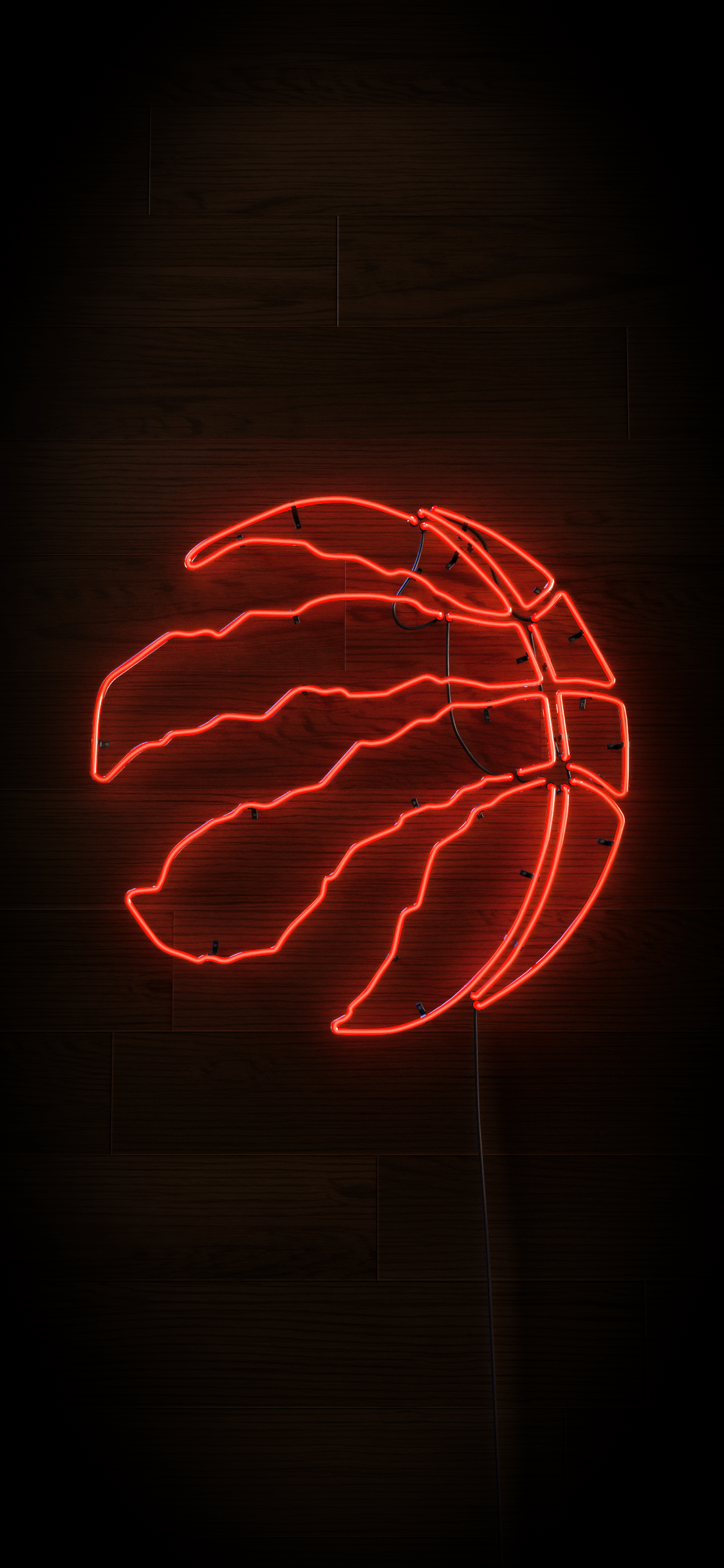 Logo Toronto Raptors neon rosso, 1125x2436 Verticale, Telefono