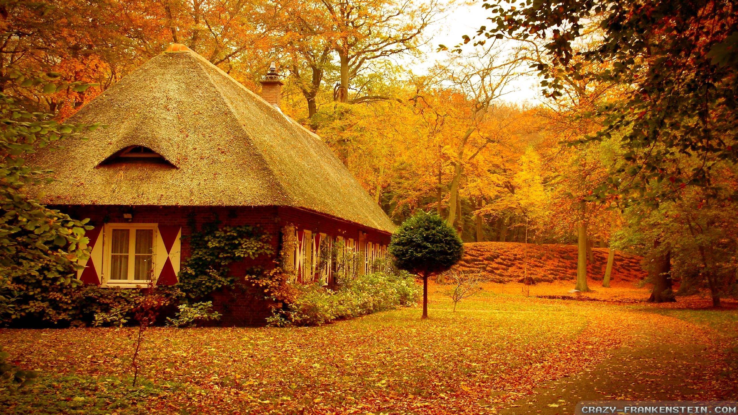 Casetta con tetto di paglia autunno, 2560x1440 QHD, Laptop