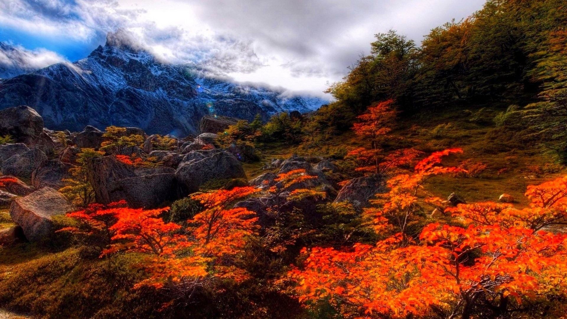Montagne innevate e foliage autunnale, 1920x1080 1080p, Desktop
