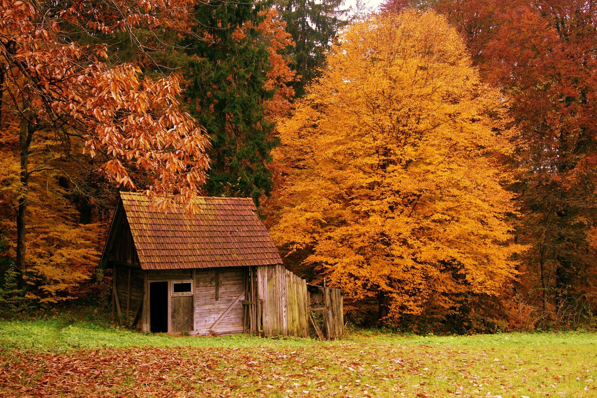 Capanna di legno nel bosco autunnale, 1920x1280 Full HD+ WUXGA, PC Desktop
