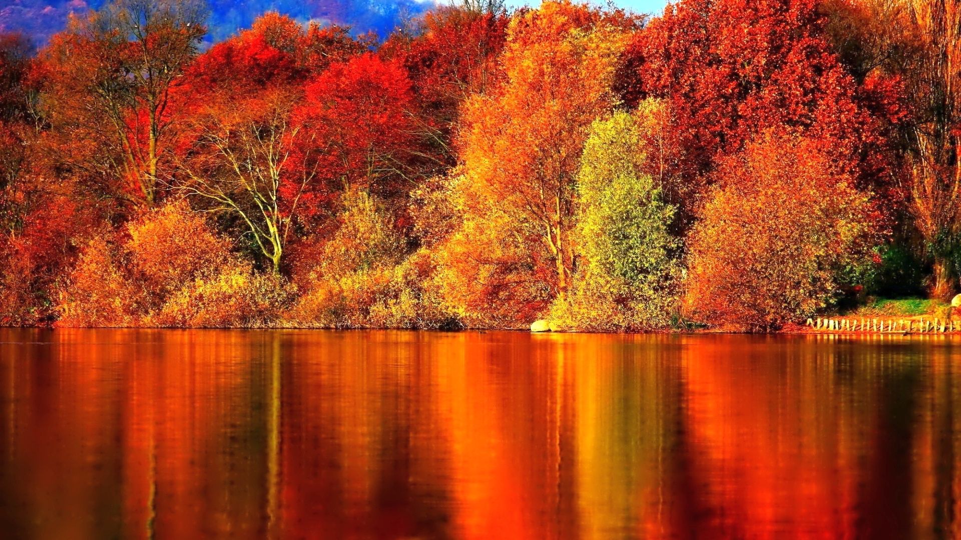 Foresta autunnale riflessa nel lago, 1920x1080 Full HD, PC