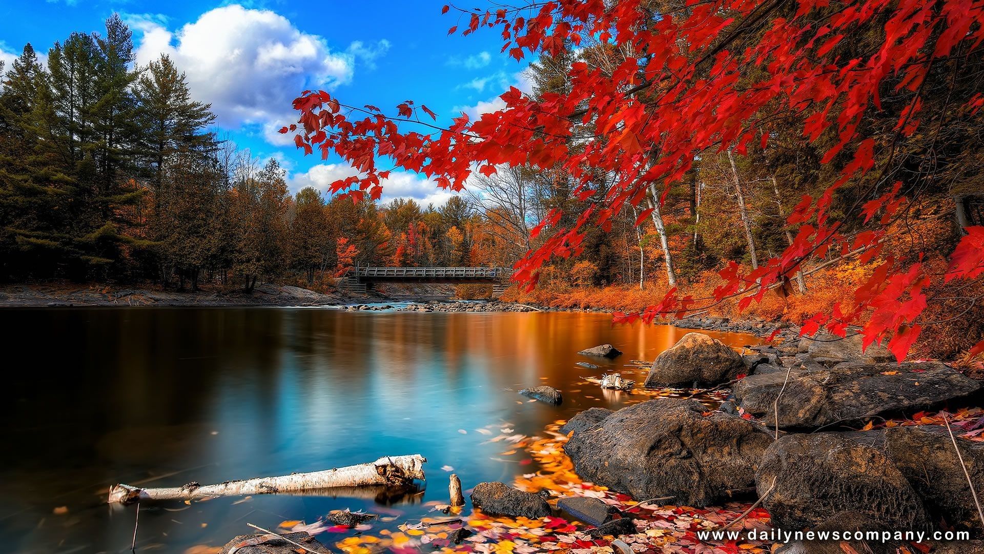 Lago autunnale con foglie rosse, 1920x1080 Full HD 1080p, Laptop