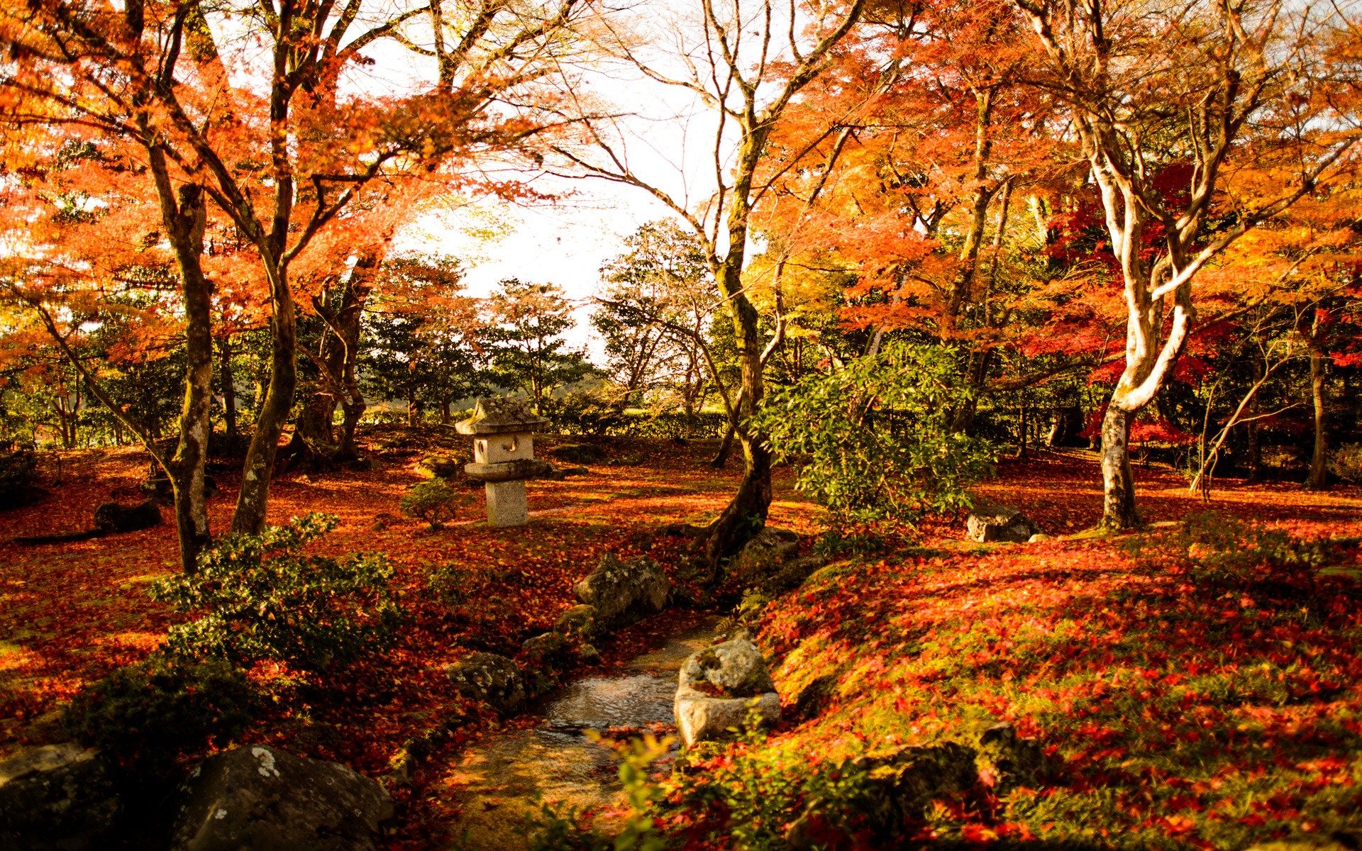 Giardino giapponese autunnale con torrente, 1920x1200 WUXGA, Desktop