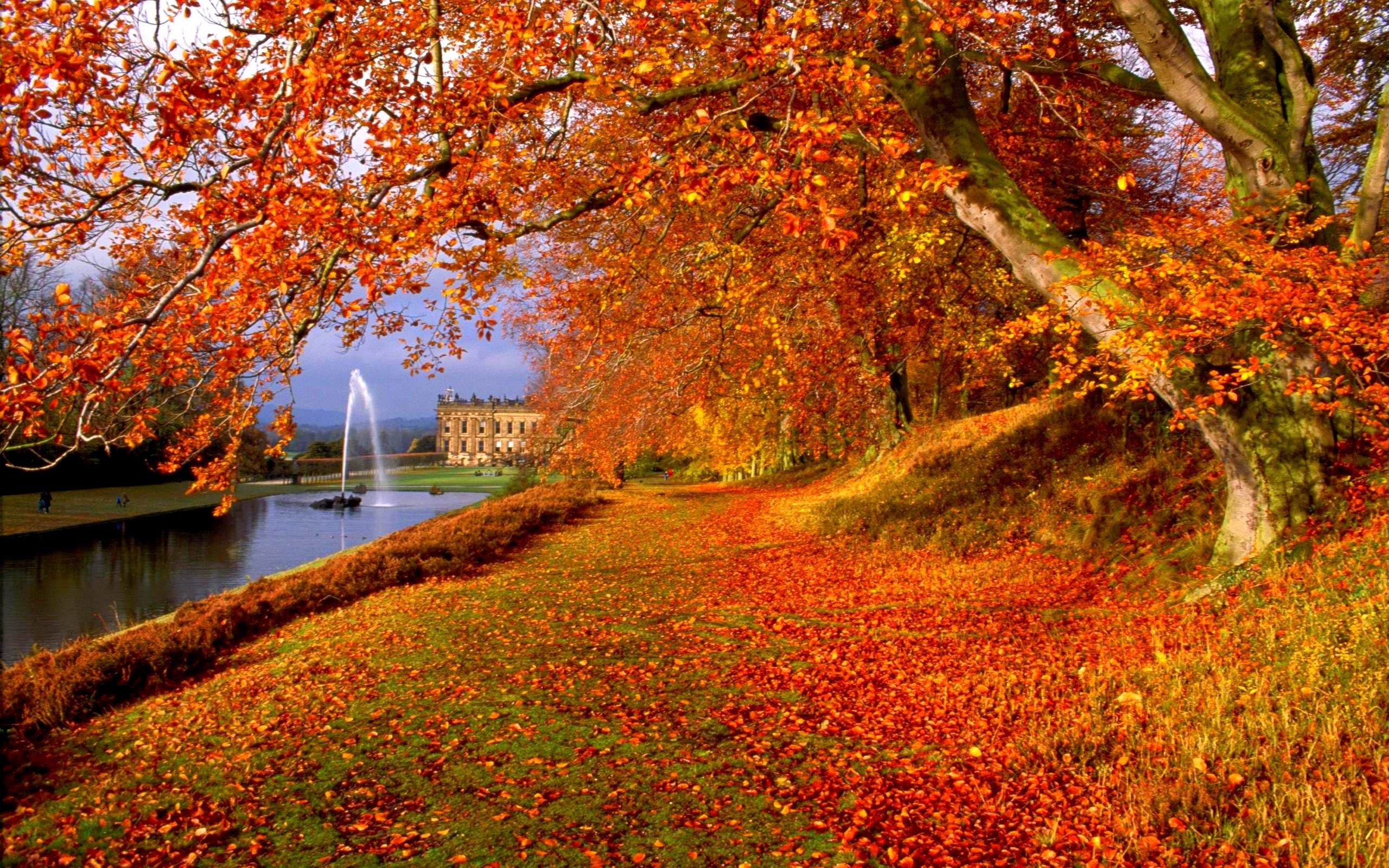 Sentiero autunnale con fontana, 2560x1600 2K, Desktop