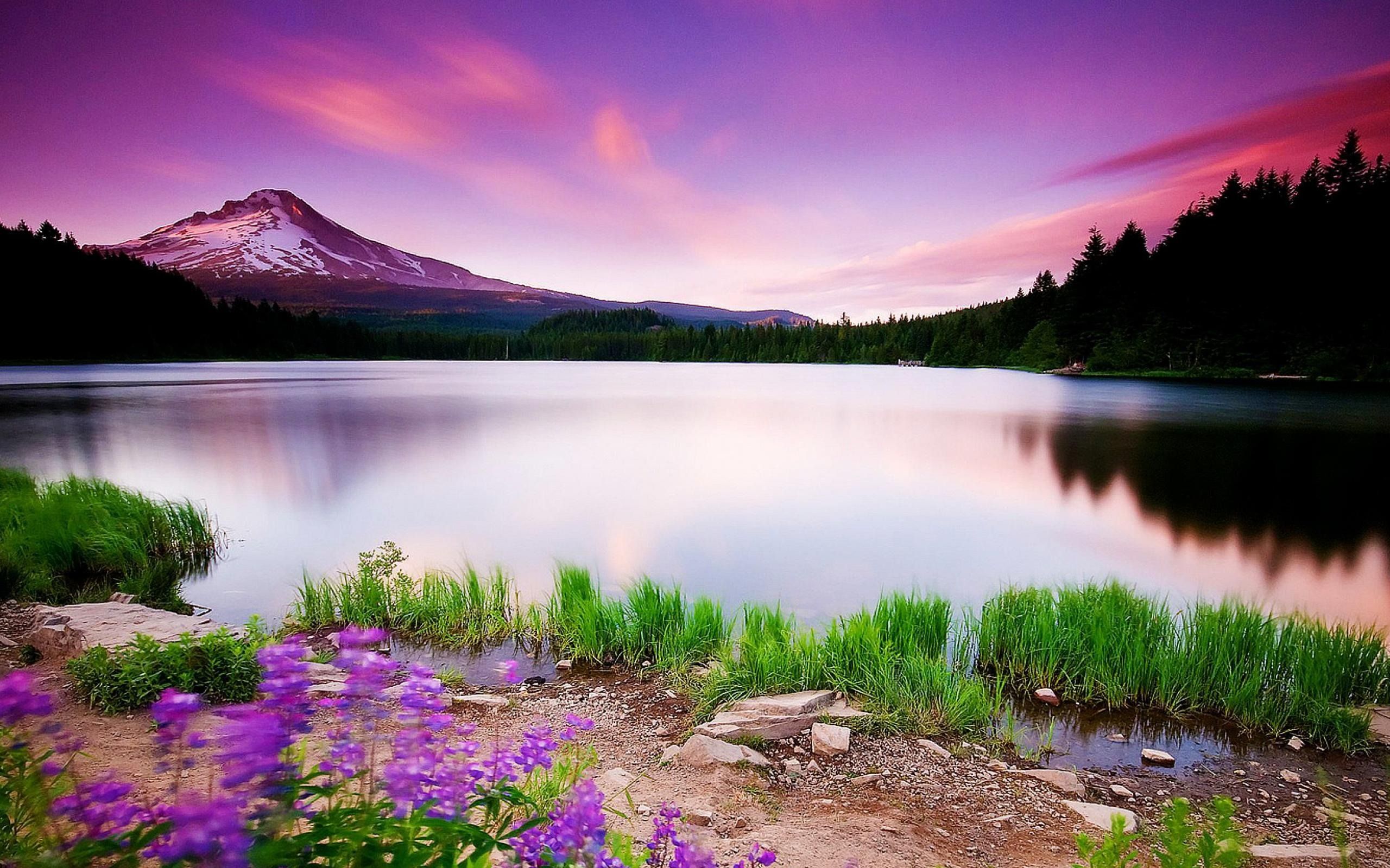 Lago montagna tramonto viola, 2560x1600 2K+, MacBook Pro