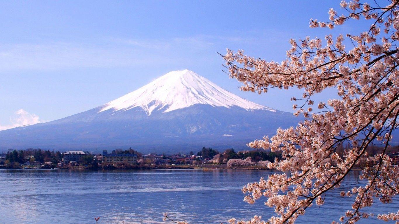Monte Fuji con ciliegi in fiore, Giappone, 1366x768 720p, PC