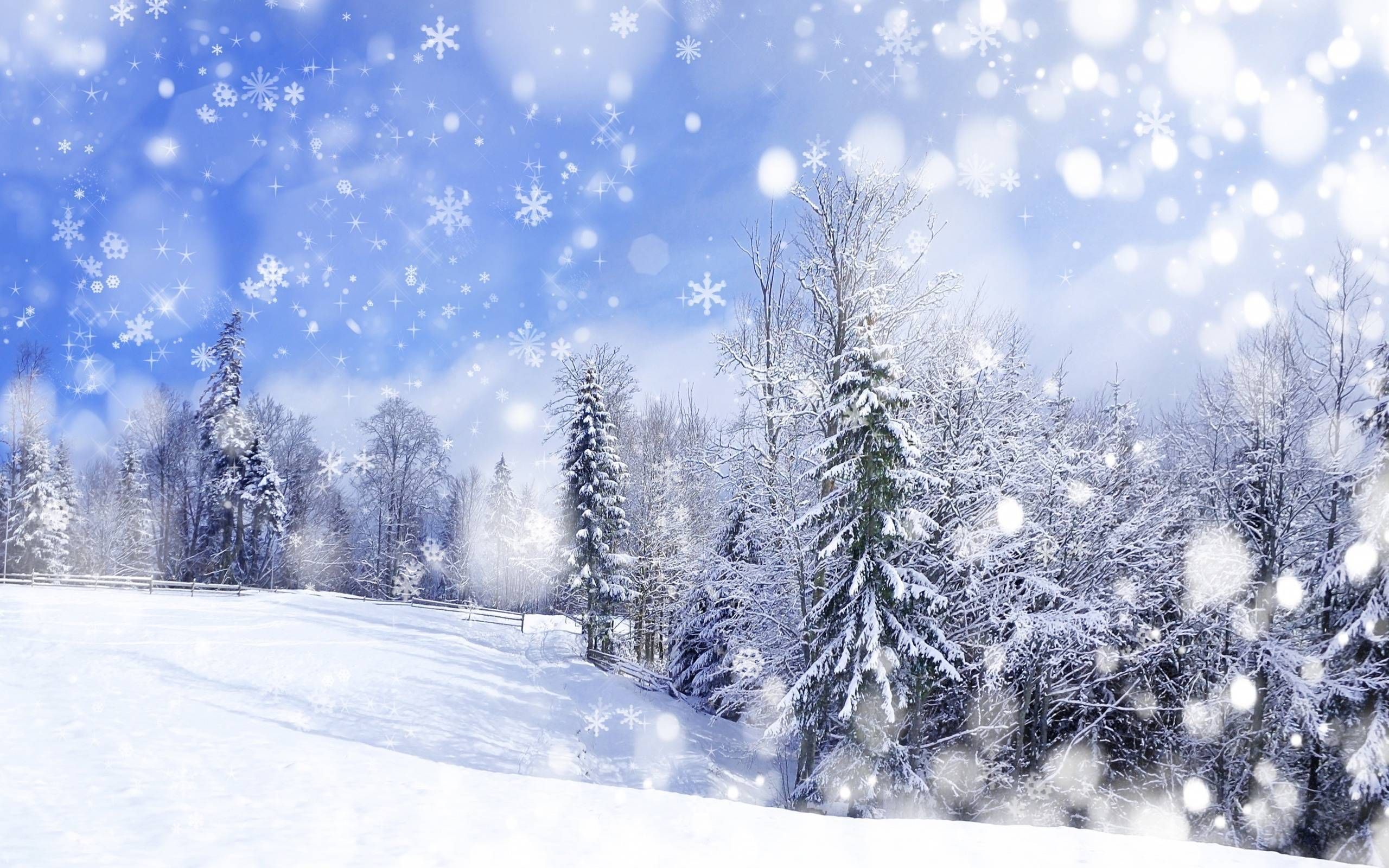 Foresta innevata con neve che cade, 2560x1600 WQXGA, MacBook Pro