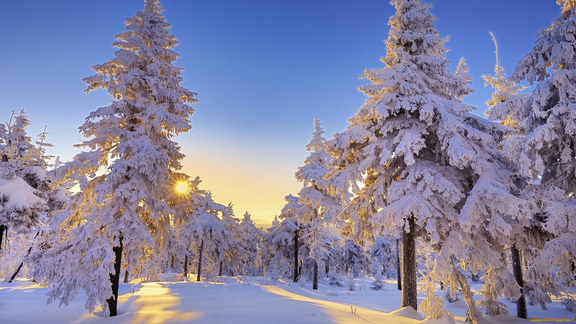 Foresta innevata al tramonto, 1920x1080 1080p, PC Desktop