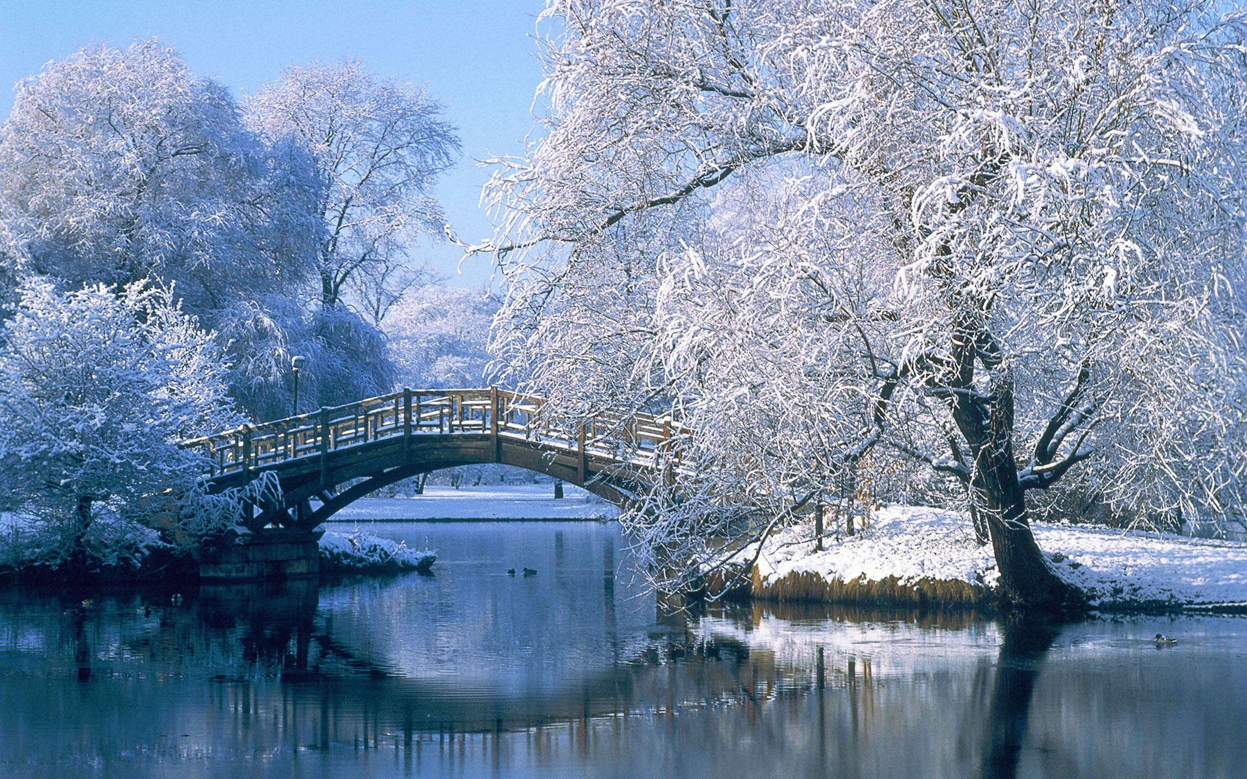 Ponte di legno paesaggio innevato, 2560x1600 2K, PC