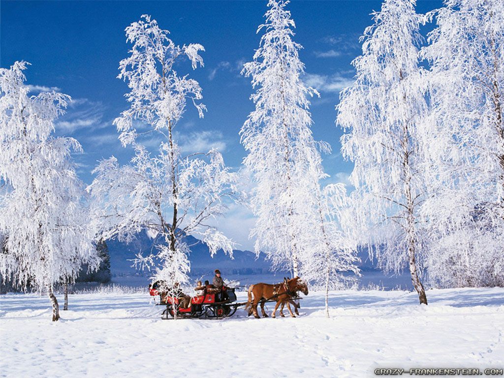 Slitta trainata da cavalli nella neve, 1024x768 HD, Desktop