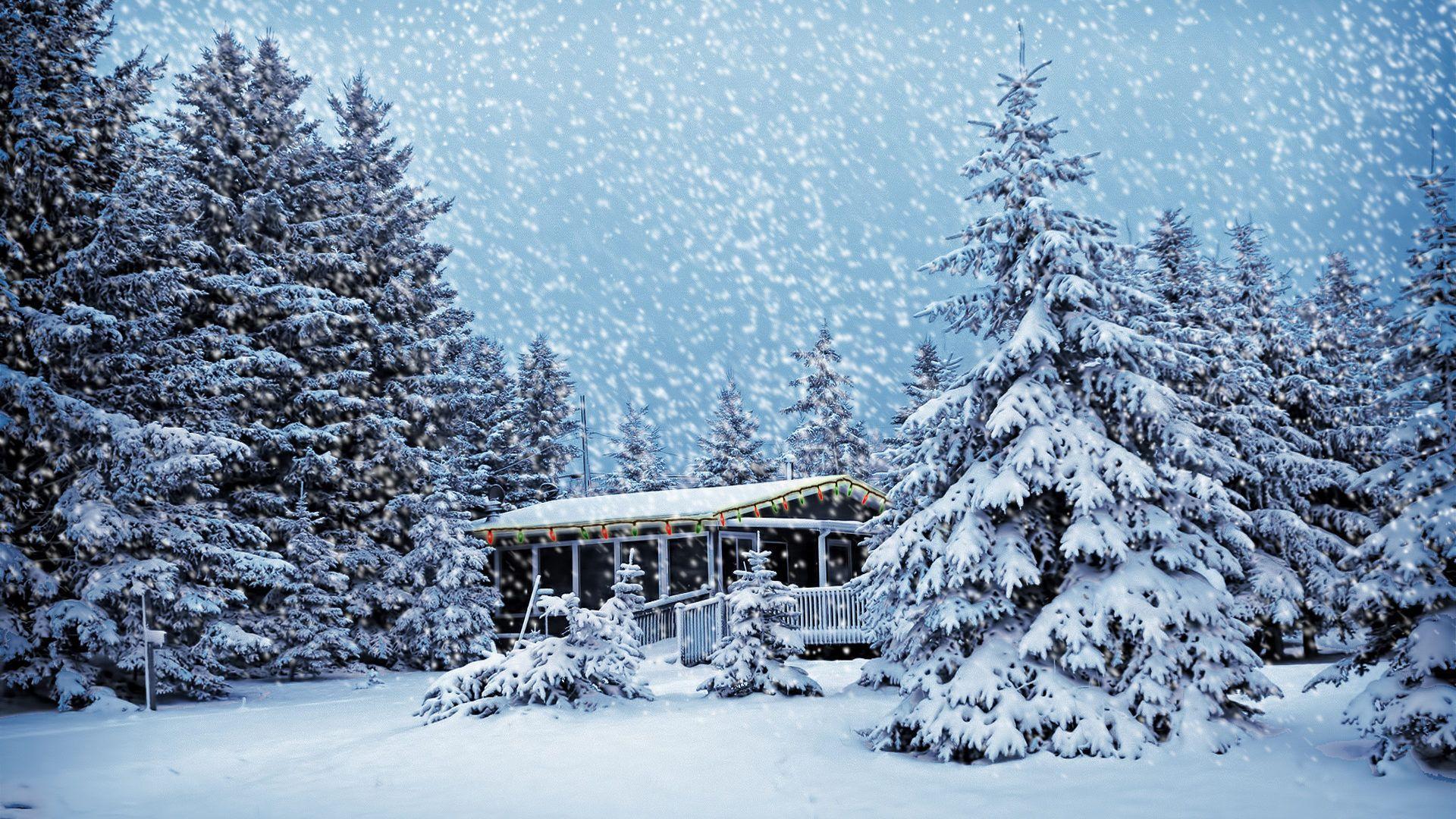 Baita innevata tra abeti, 1920x1080 Full HD, Desktop