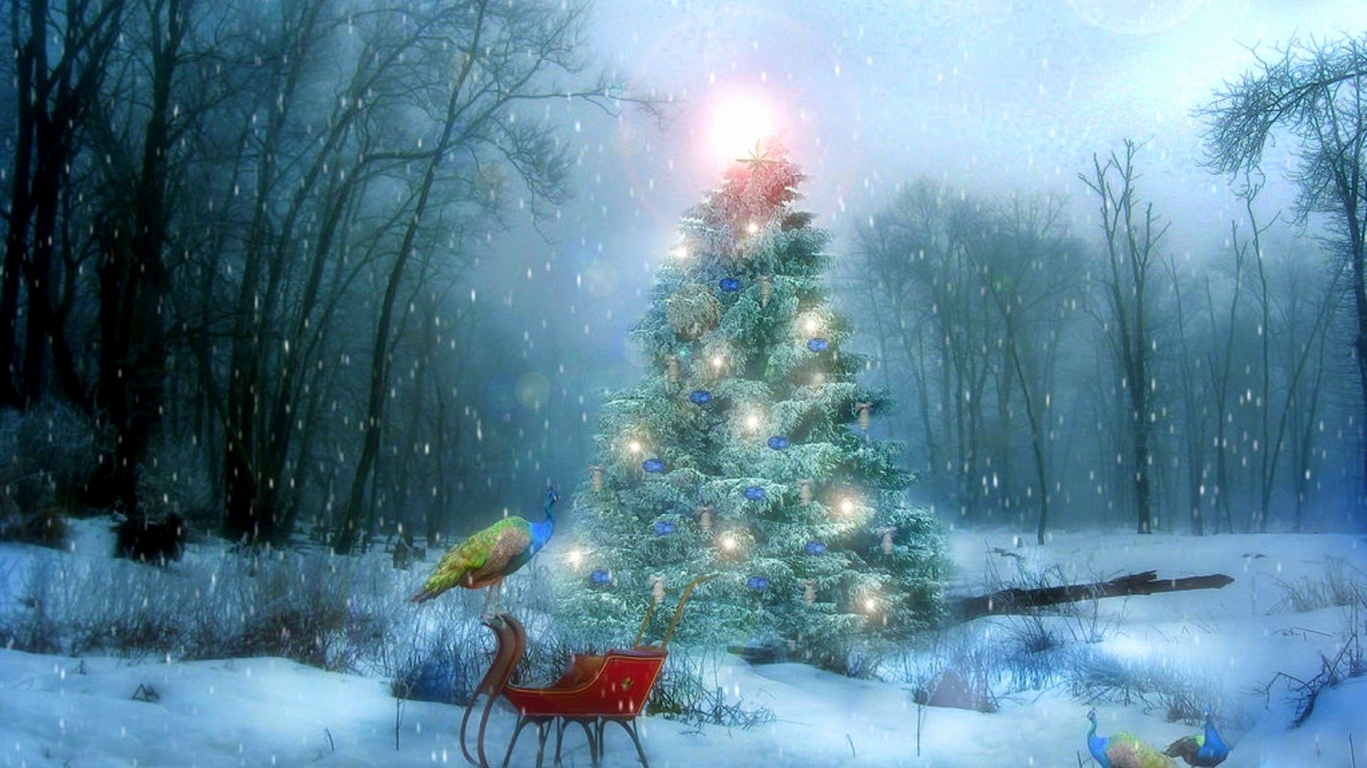 Albero di Natale innevato nel bosco, 1920x1080 1080p, Laptop