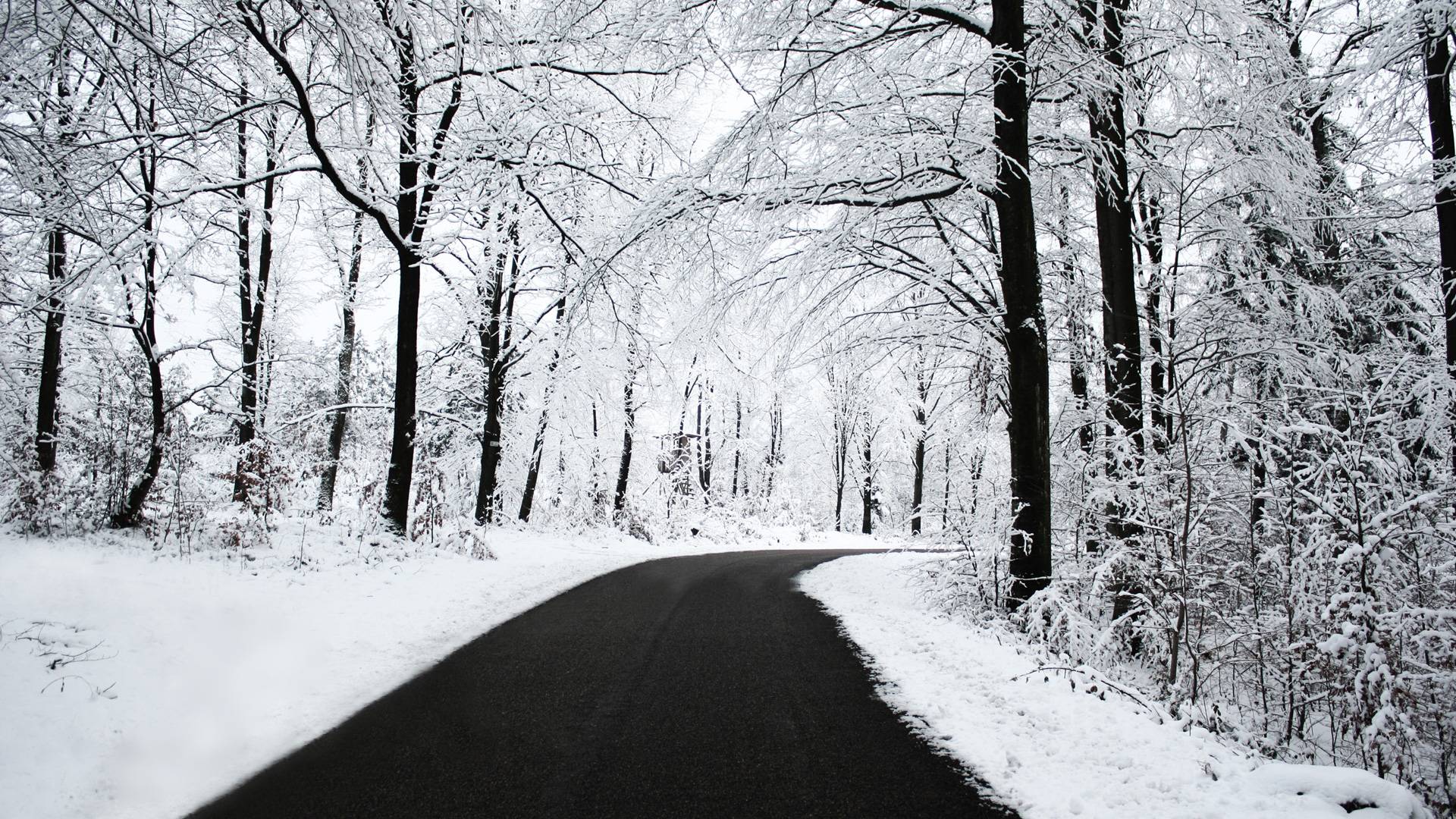 Strada innevata tra alberi, 1920x1080 1080p, Desktop