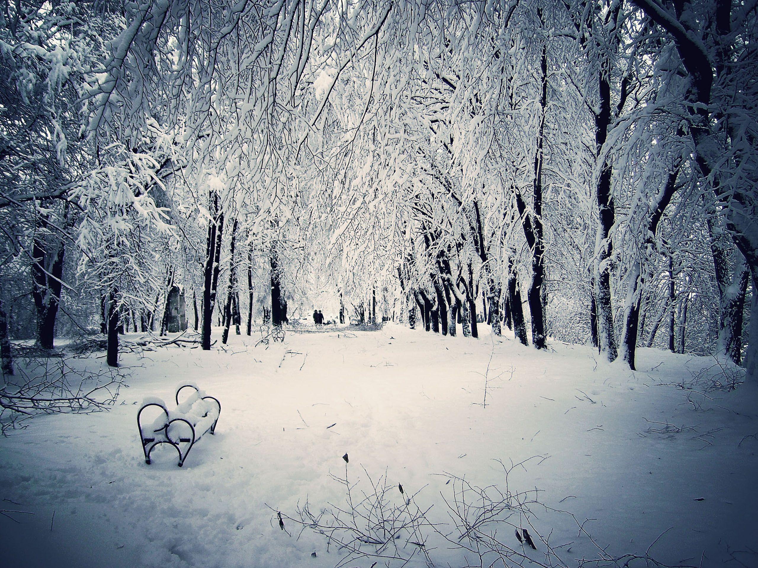 Panchina in parco innevato, 2560x1920 2K, PC