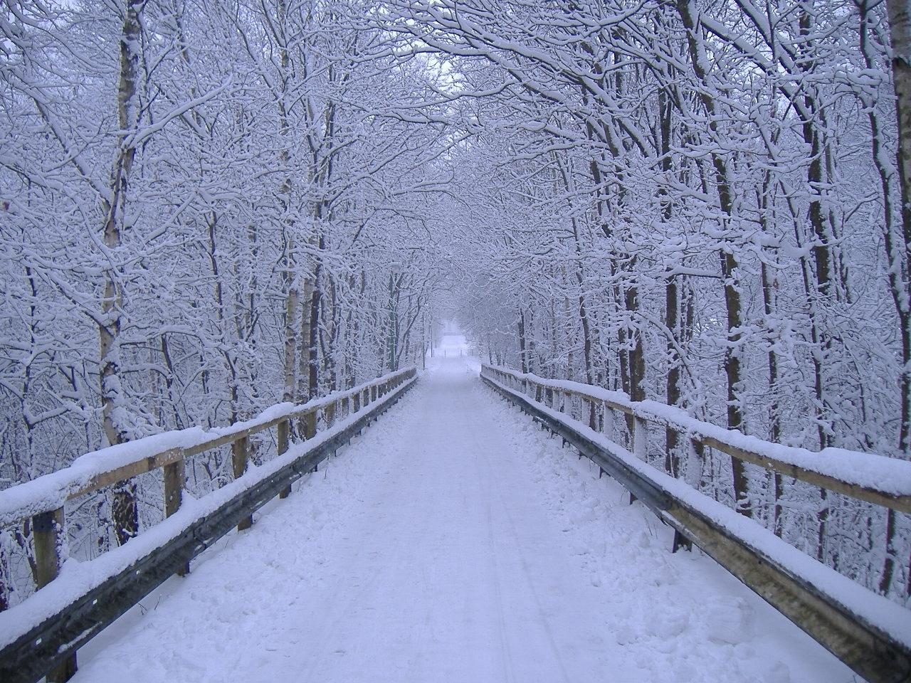 Ponte innevato tra alberi, 1280x960 HD, Desktop