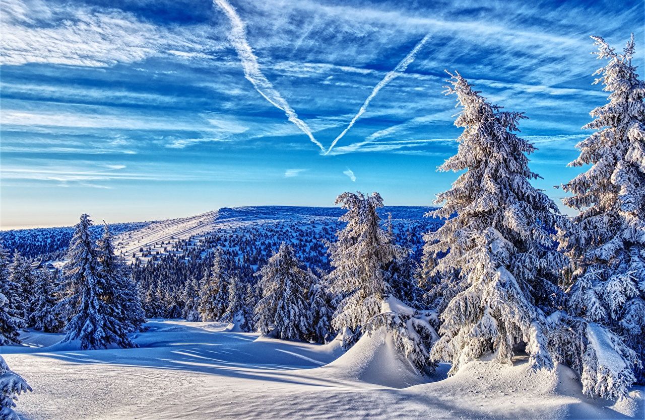 Abeti innevati montagna Repubblica Ceca, 1280x835 720p, MacBook Air