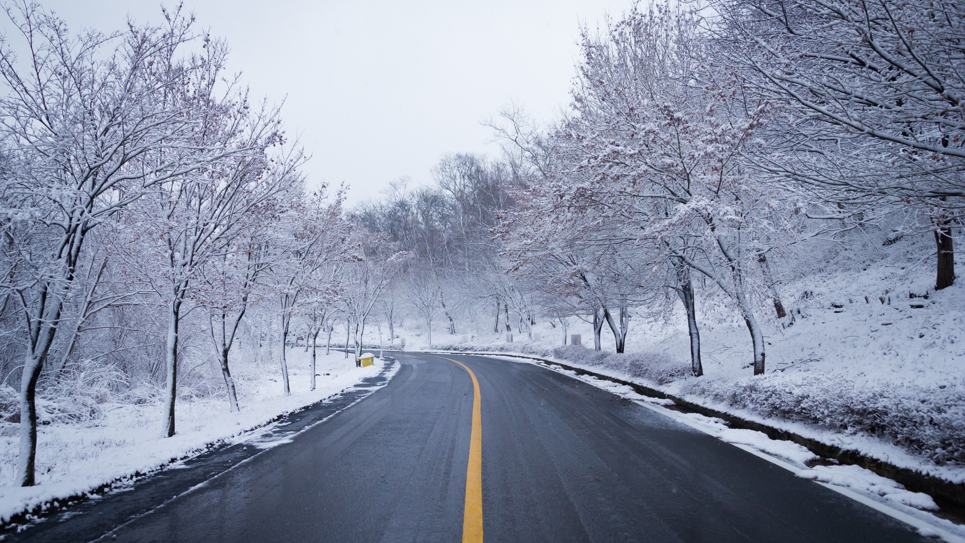 Strada innevata tra alberi, 3840x2160 UHD, PC 4K