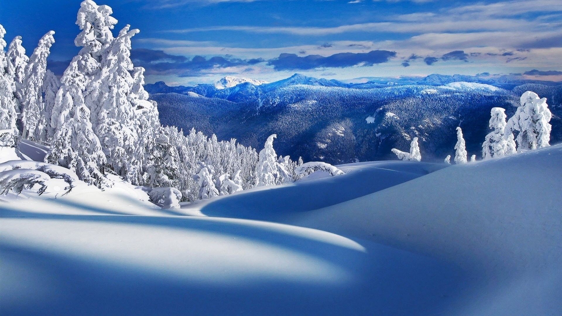 Paesaggio innevato montagne alberi, 1920x1080 1080p, PC