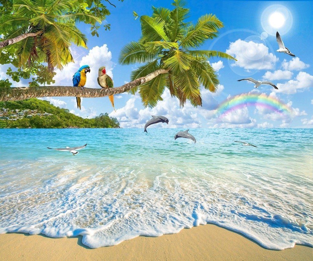 Spiaggia tropicale con pappagalli e delfini, 1024x854 HD, Desktop