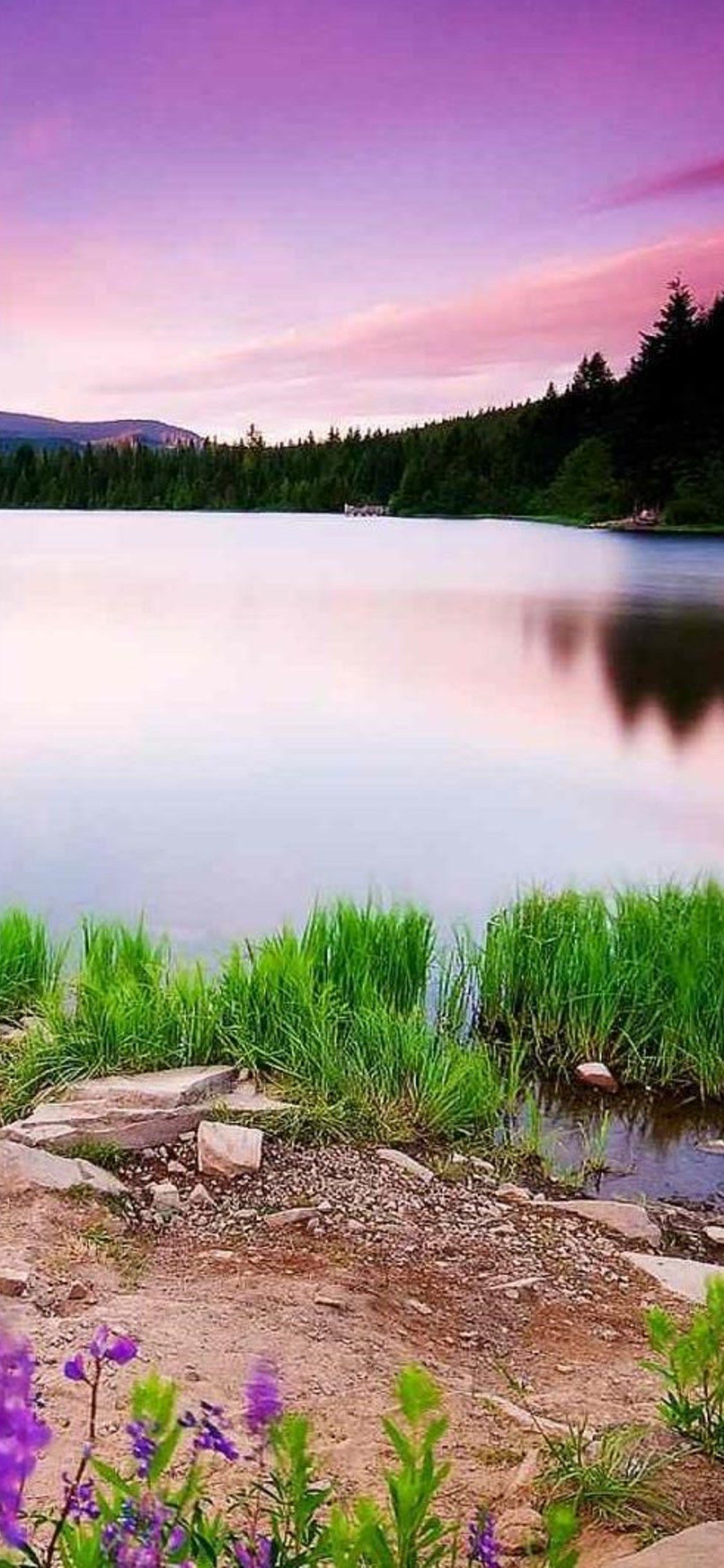 Lago al tramonto viola, 1125x2436 Verticale, Mobile