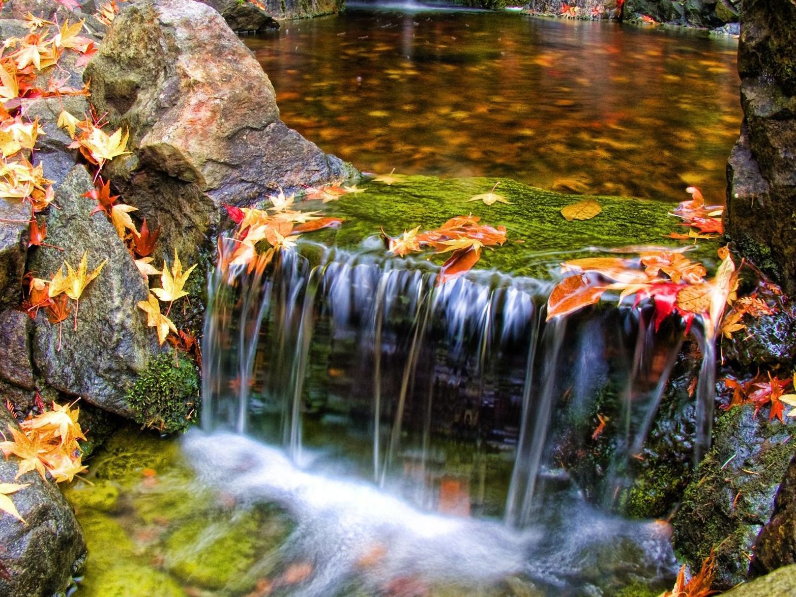 Cascata autunnale con foglie, 1565x1173 720p, Laptop