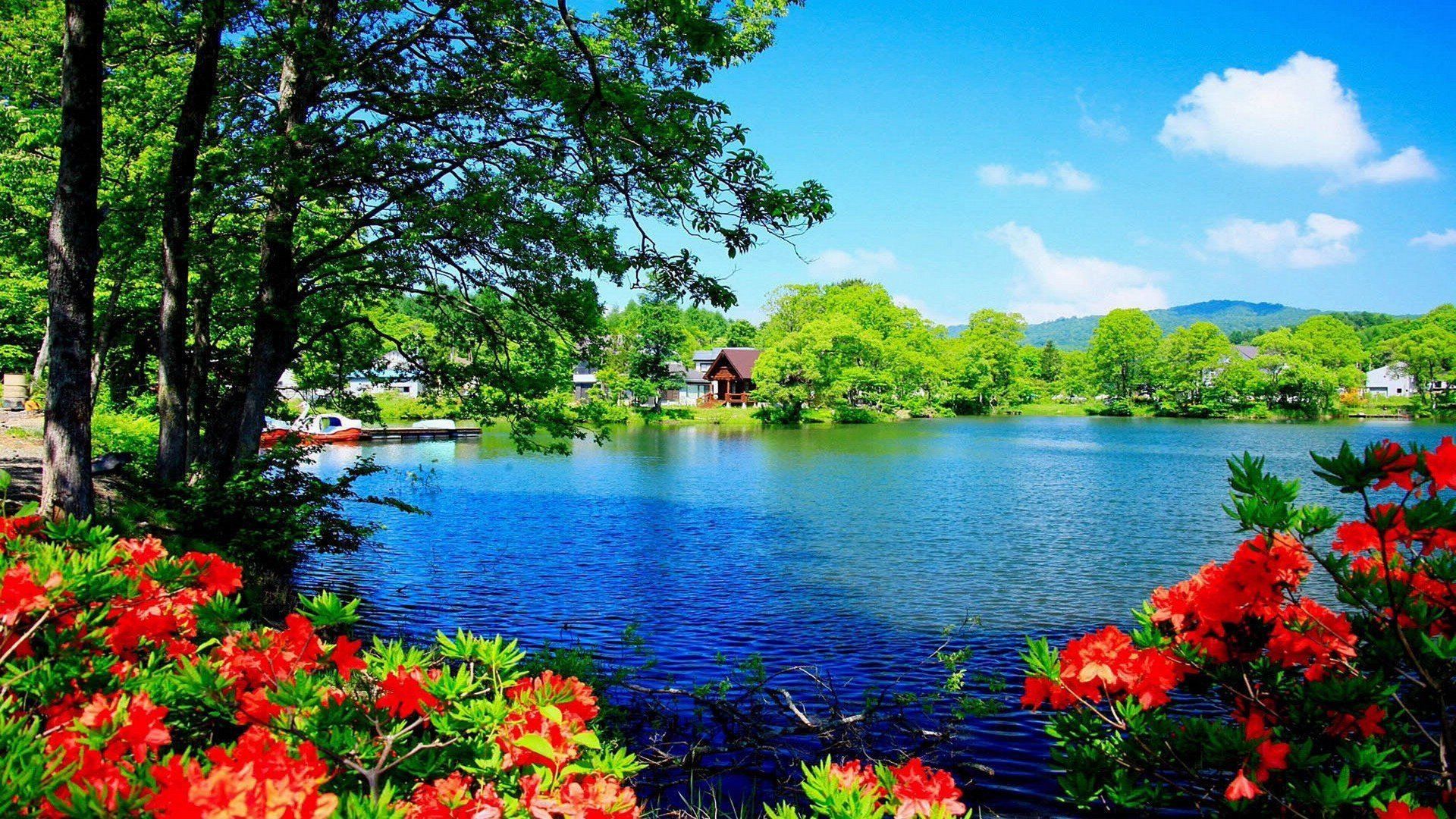 Lago con fiori rossi e alberi, 1920x1080 Full HD, PC Desktop