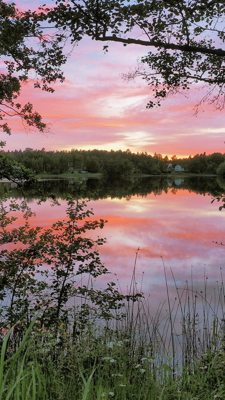 Lago all'alba con riflessi rosa, 750x1334 Verticale, Telefono