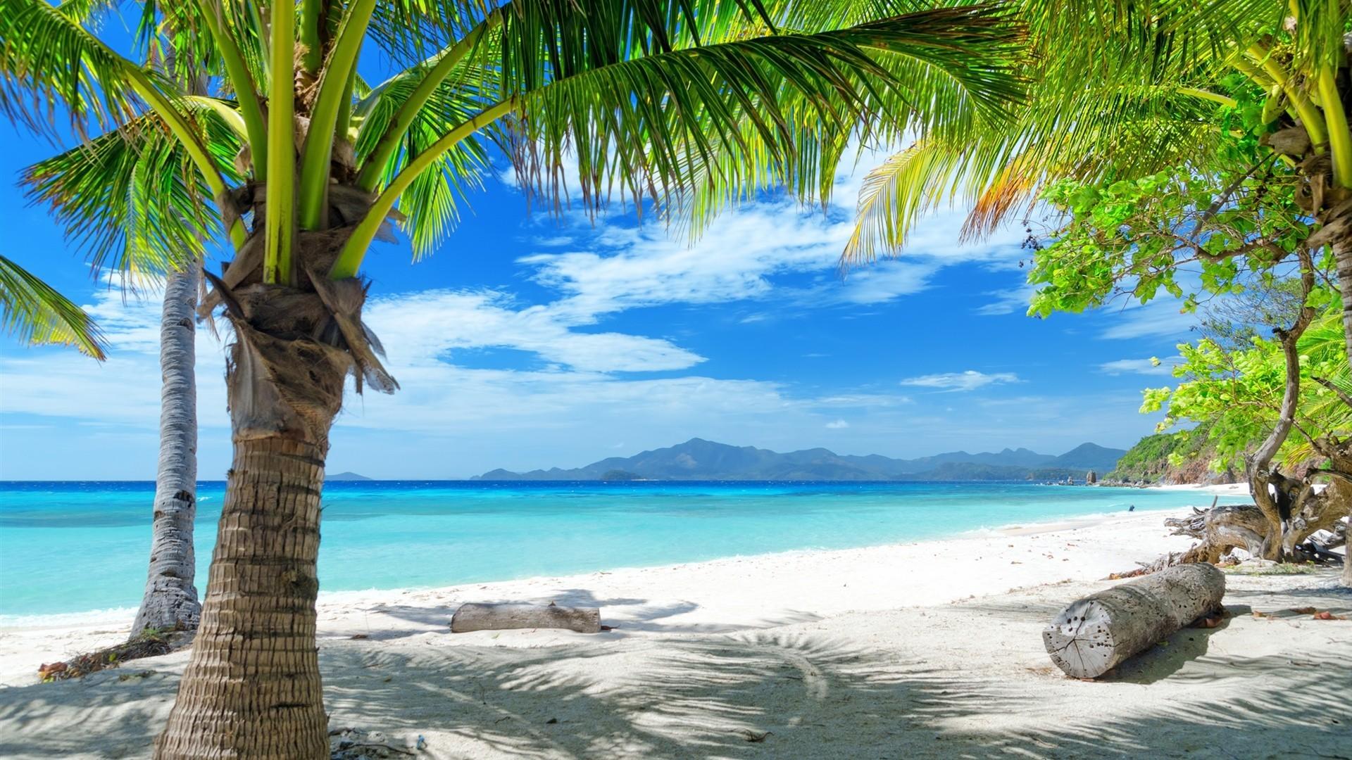 Spiaggia tropicale con palme, 1920x1080 Full HD, Desktop