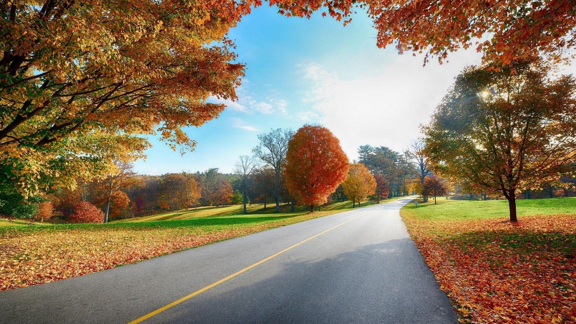 strada autunnale tra alberi, 1920x1080 Full HD 1080p, PC