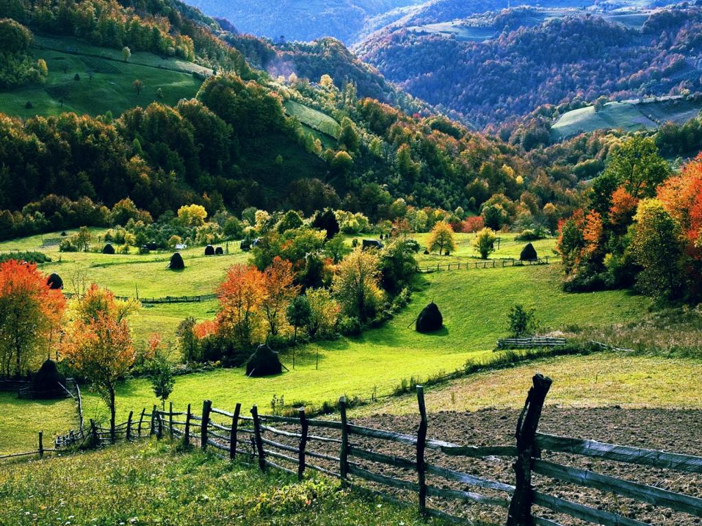Valle collinare autunnale verde, 1024x768 HD, Laptop