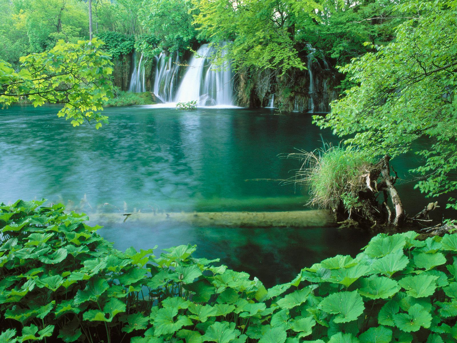 Cascata laguna verde smeraldo, 1600x1200 HD, Desktop