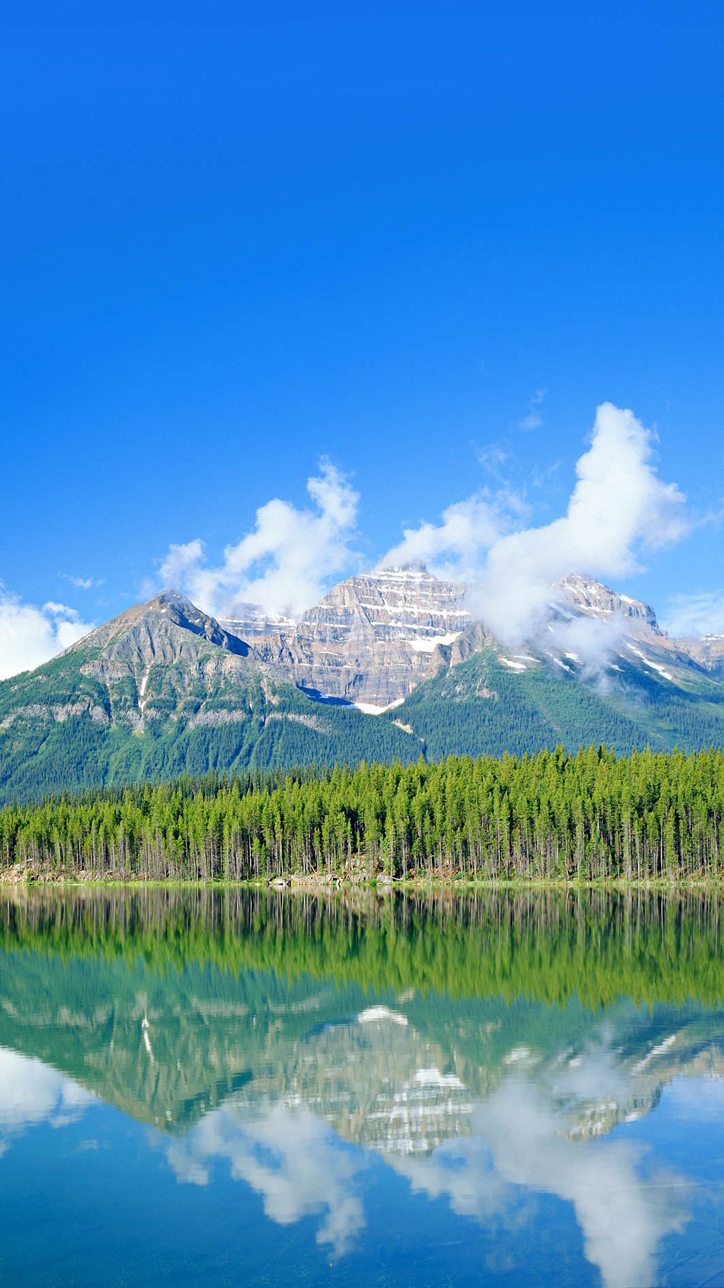 Montagne lago riflesso pineta, 1440x2560 Full HD Verticale, Smartphone
