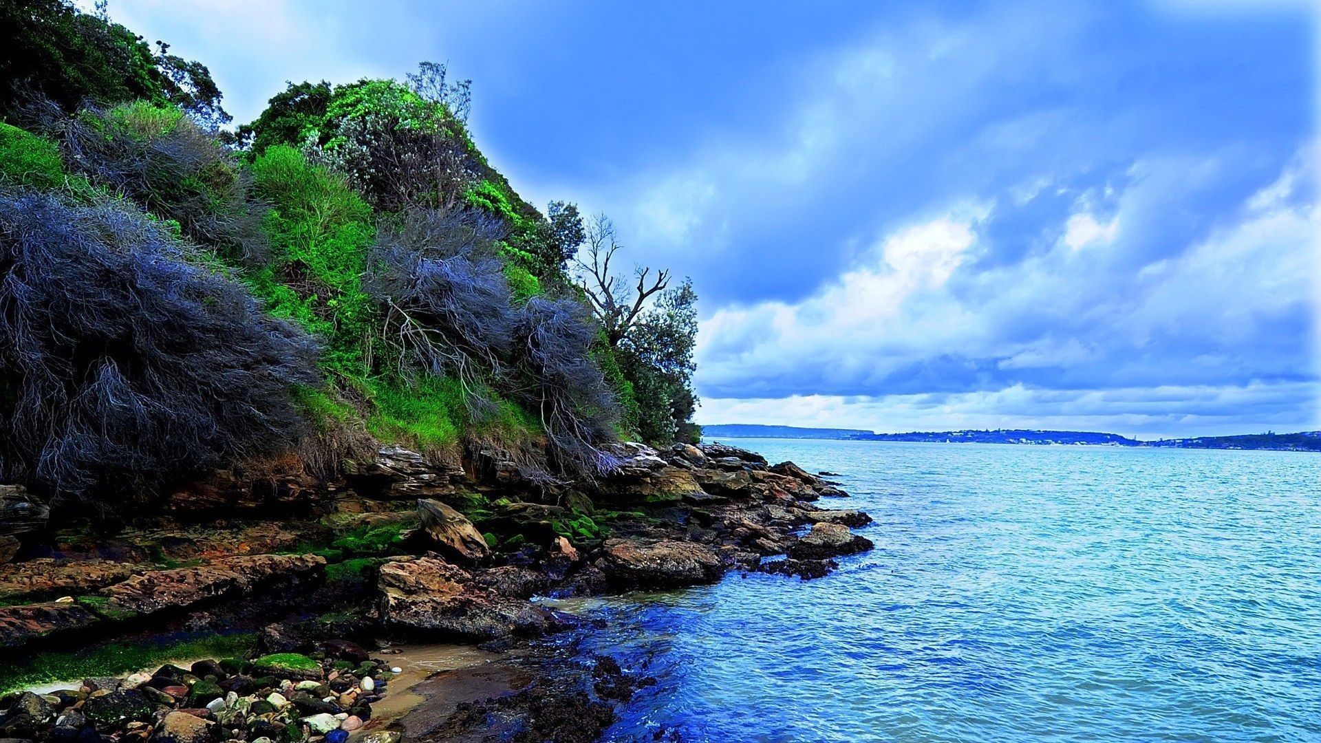 scogliera verde sul mare, 1920x1080 Full HD 1080p, PC