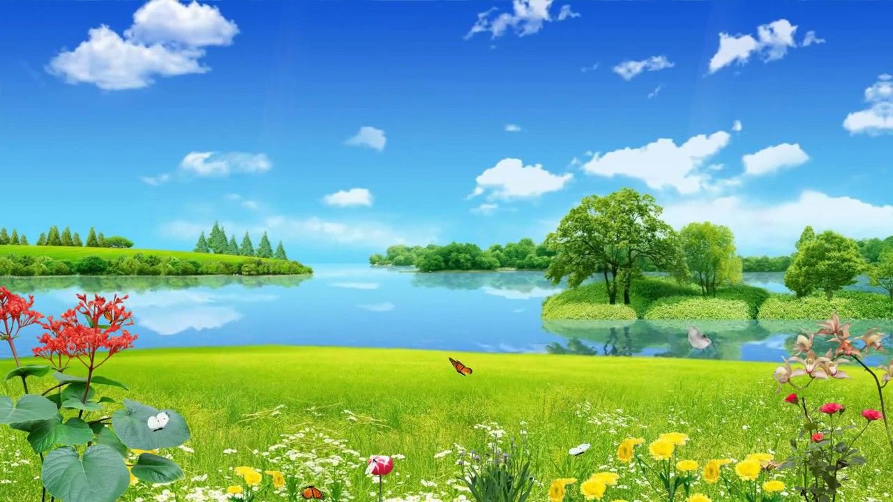 lago prati fiori colorati, 1280x720 720p, Laptop