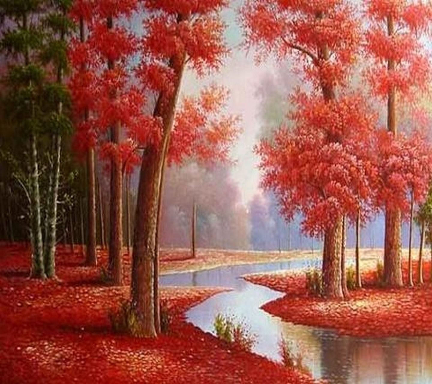 Bosco autunnale foglie rosse, ruscello, 1440x1280 HD, Desktop