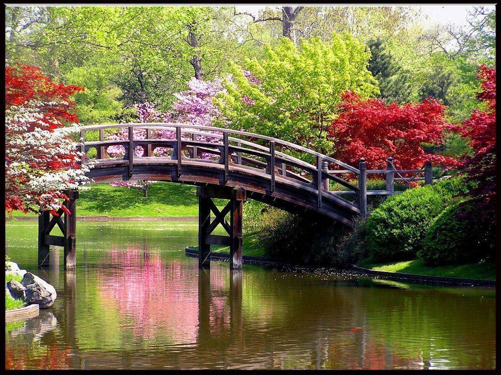 Ponte in legno giardino primaverile, 1024x768 HD, PC