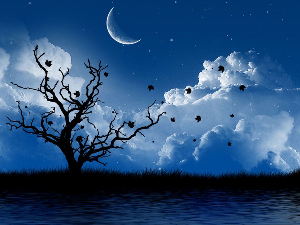 Albero spoglio con luna crescente, 1024x768 HD, PC